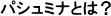 �p�V���~�i�Ƃ́H