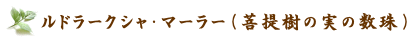 ���h���[�N�V���E�}�[���[�i�����̎��̐���j